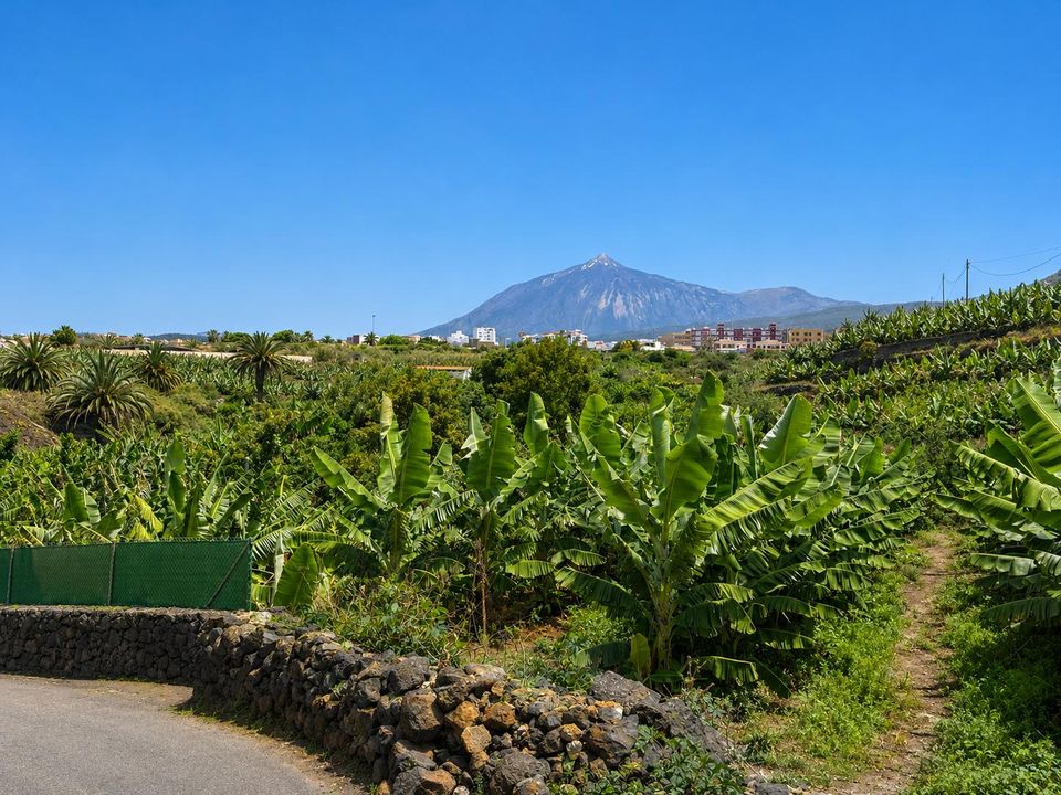 Farm hus i San Marcos, Tenerife - foto 5